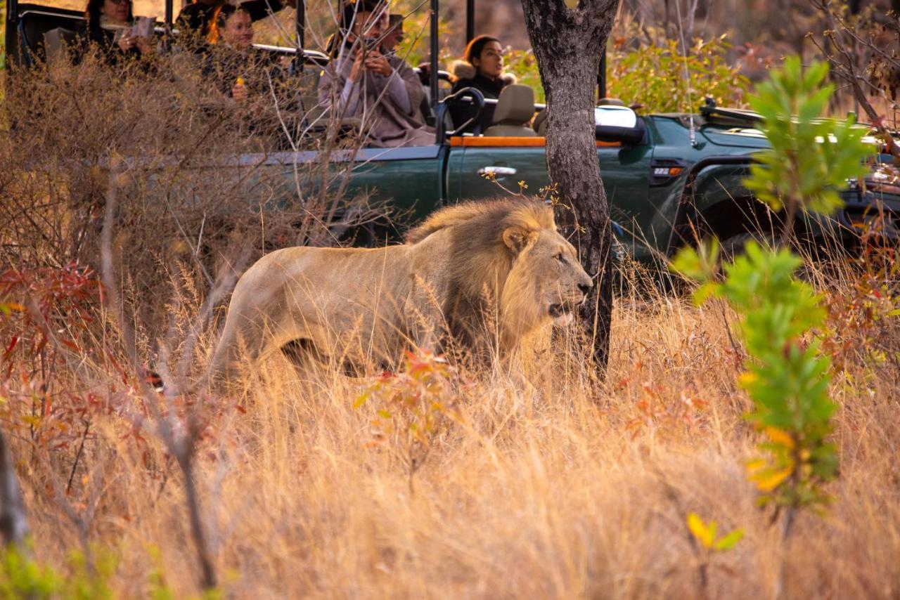 Nungubane Game Lodge Welgevonden Game Reserve Exterior foto